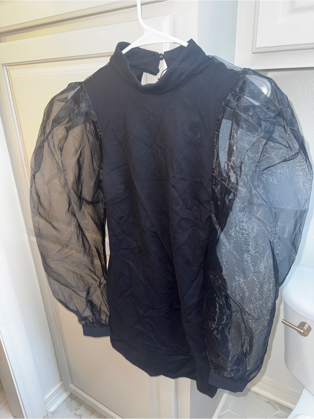 Black Puff Sleeve Sheer Organza dress